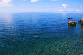 sea apartments Calabria Tyrrhenian coast Cetraro riviera dei Cedri